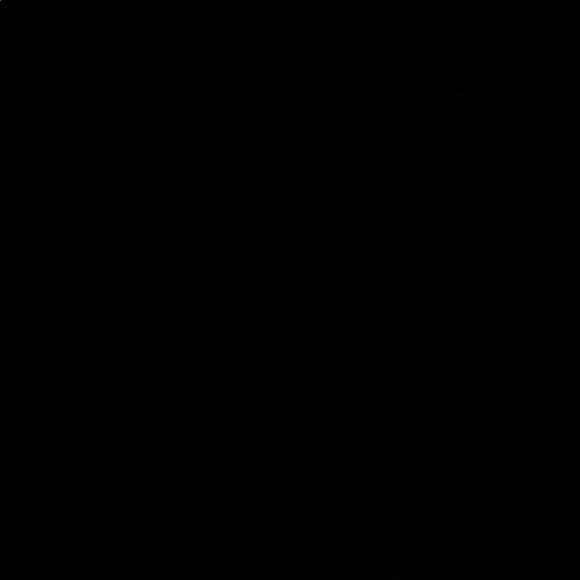 Meet your Posher, Paige - Picture 1 of 1